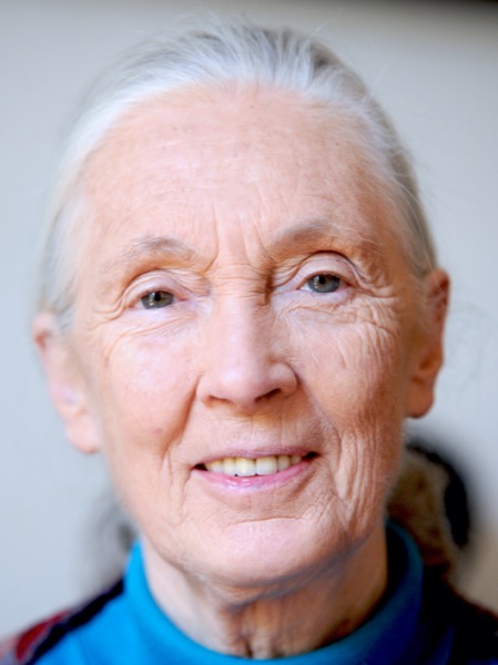 Foto potret Jane Goodall