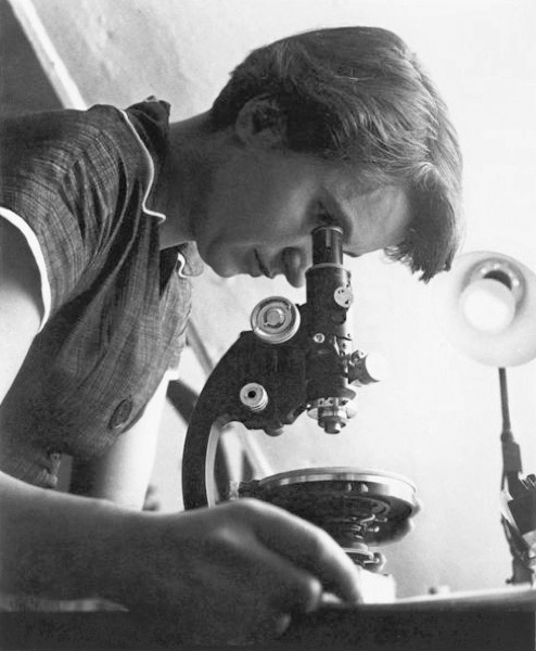 Foto potret Rosalind Franklin